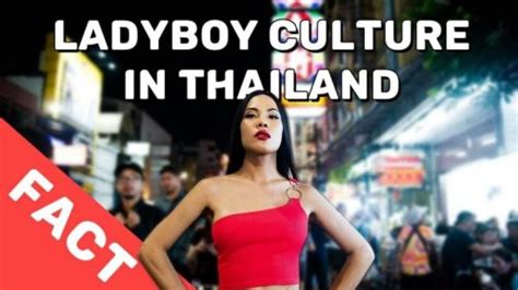 layboy|ladyboy videos